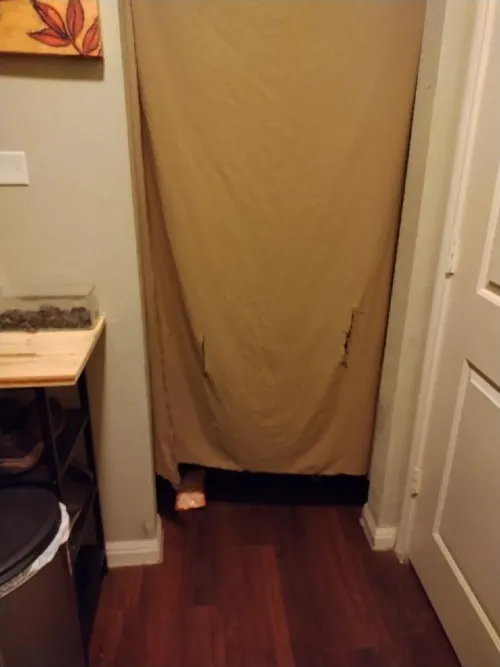 time again.Gangbang at my funhole. Starts at 830