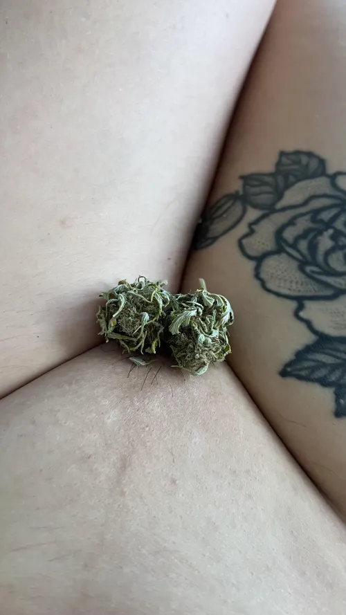 What would u do with this? 