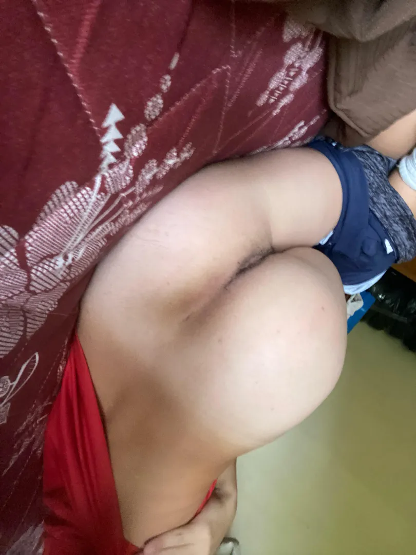 Alguno metributa jvencito