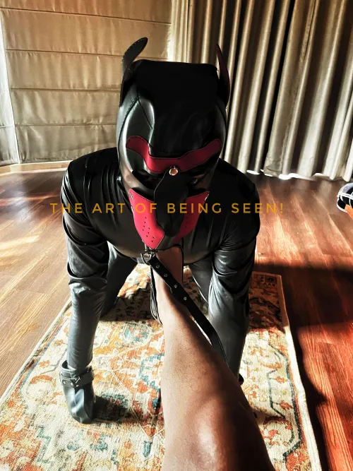 Awww the eyes…. Those puppy eyes….don’t you [oc] want to be seen by me [domme] pup