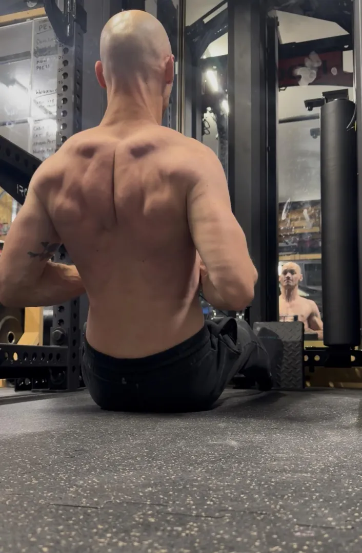 Back is starting to show some growth! I’ve been hitting BB and cable rows every back day.