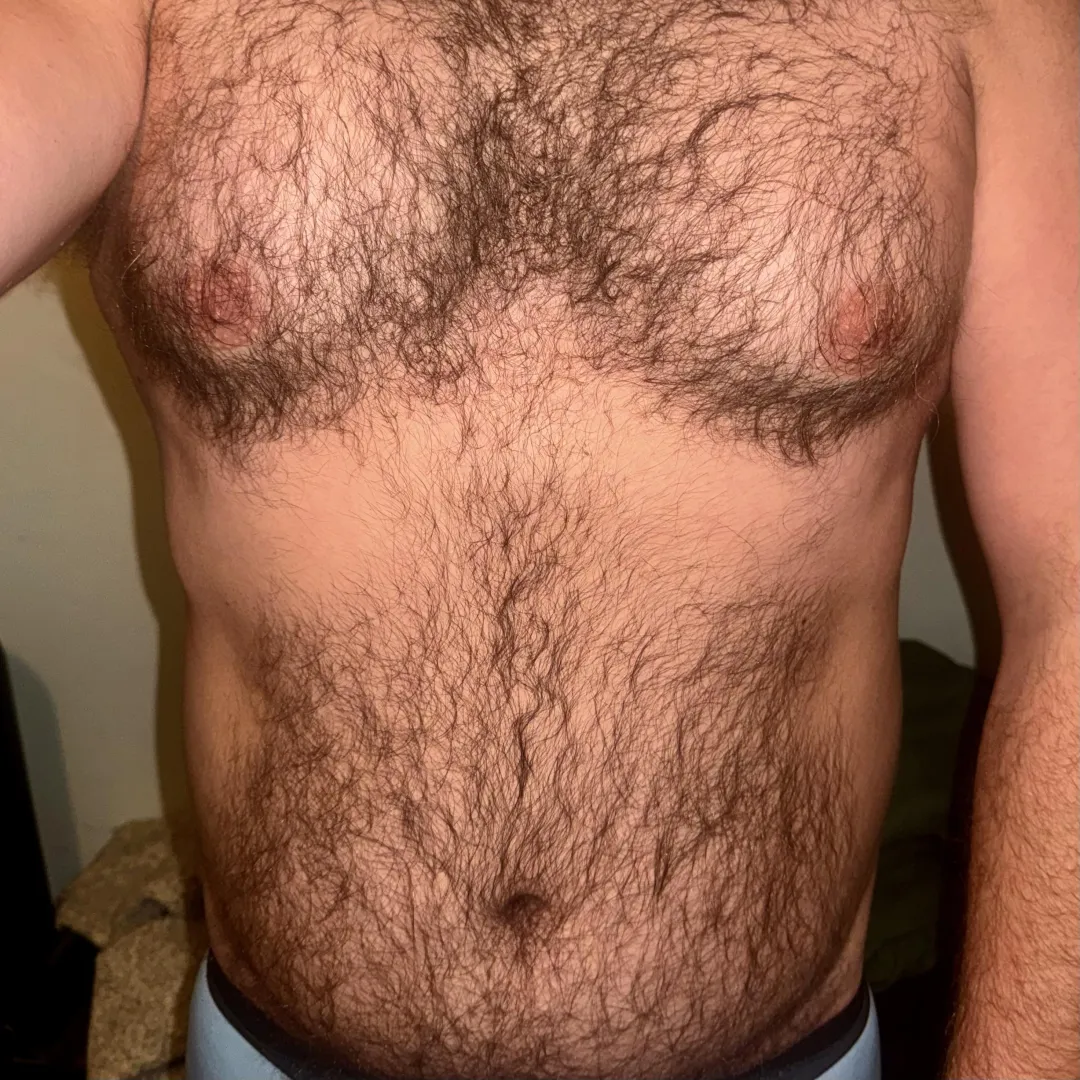 Bear belly and chest
