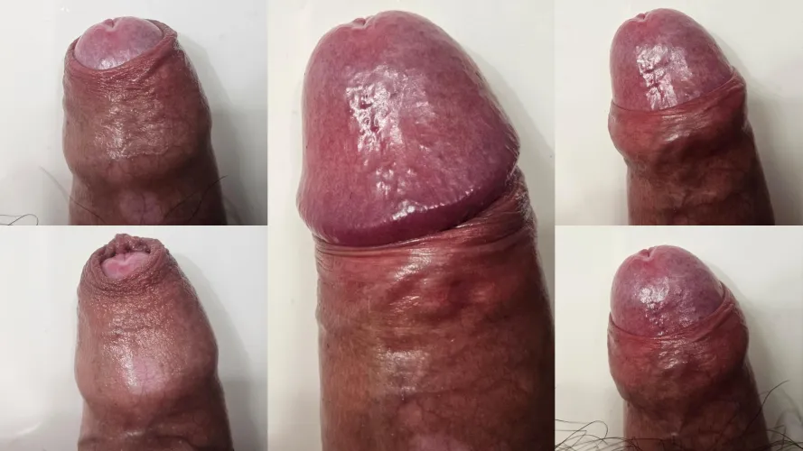 My Texas Dick