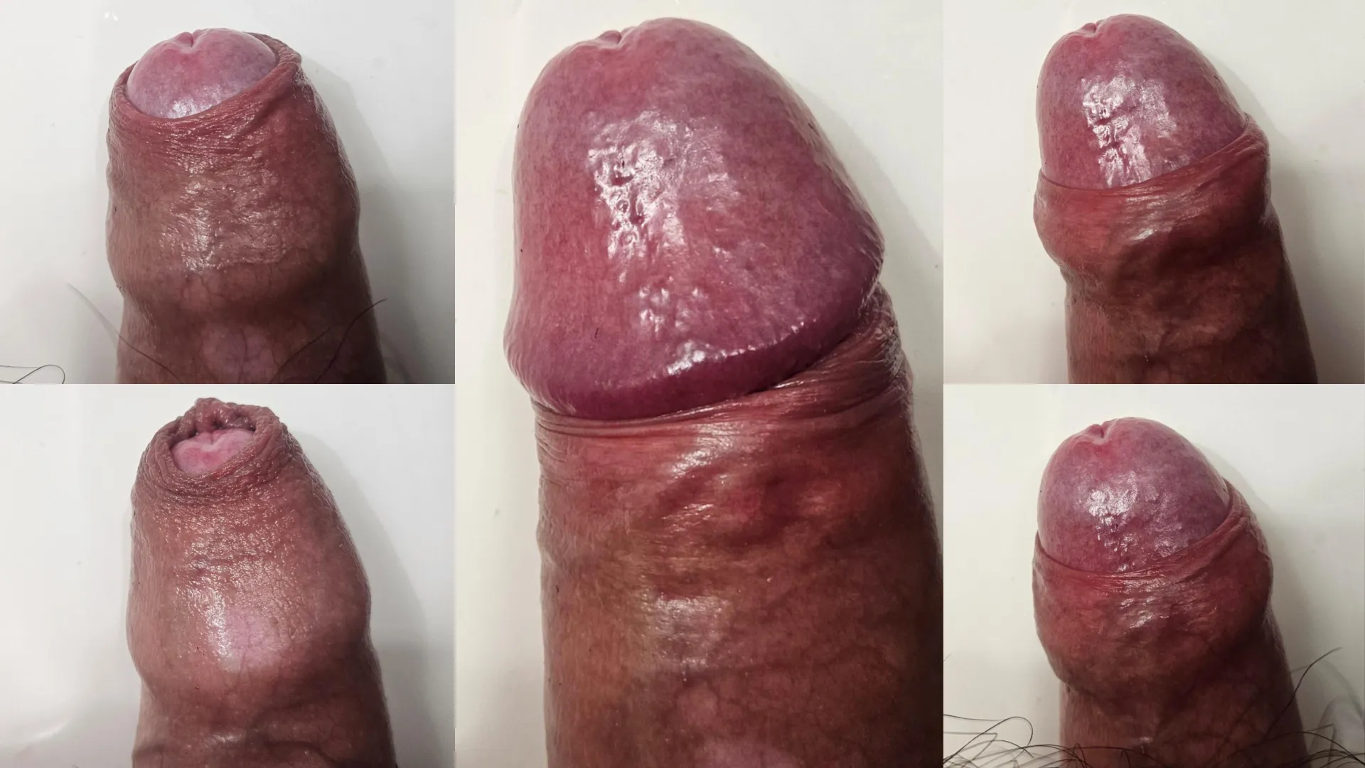 My Texas Dick