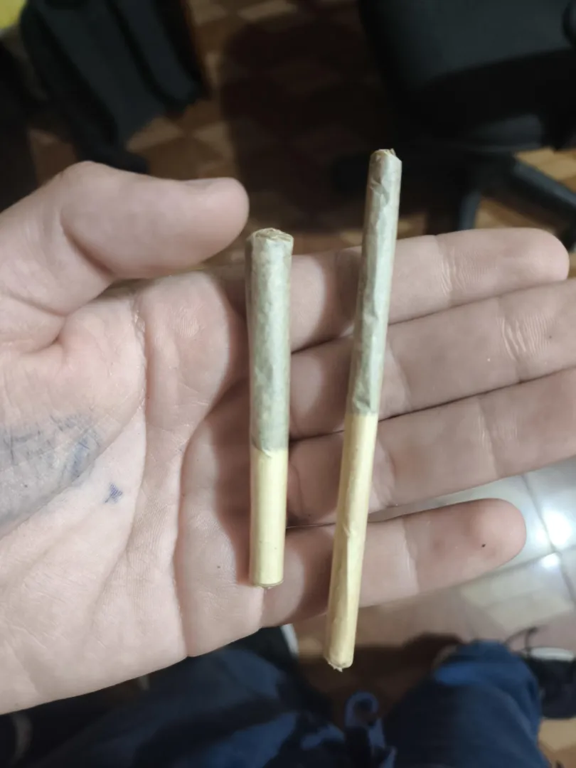 Qual tá menos pior?