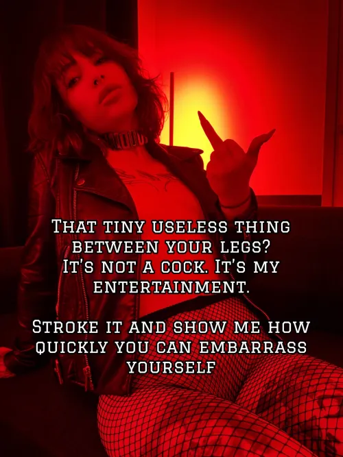 Tiny useless dick = my personal entertainment