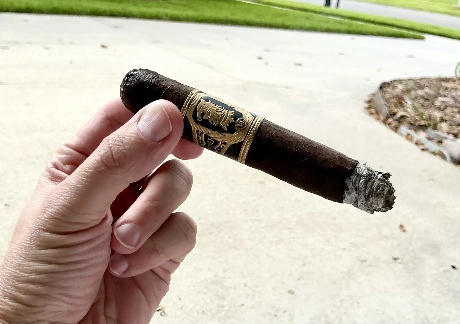 Undercrown 10
