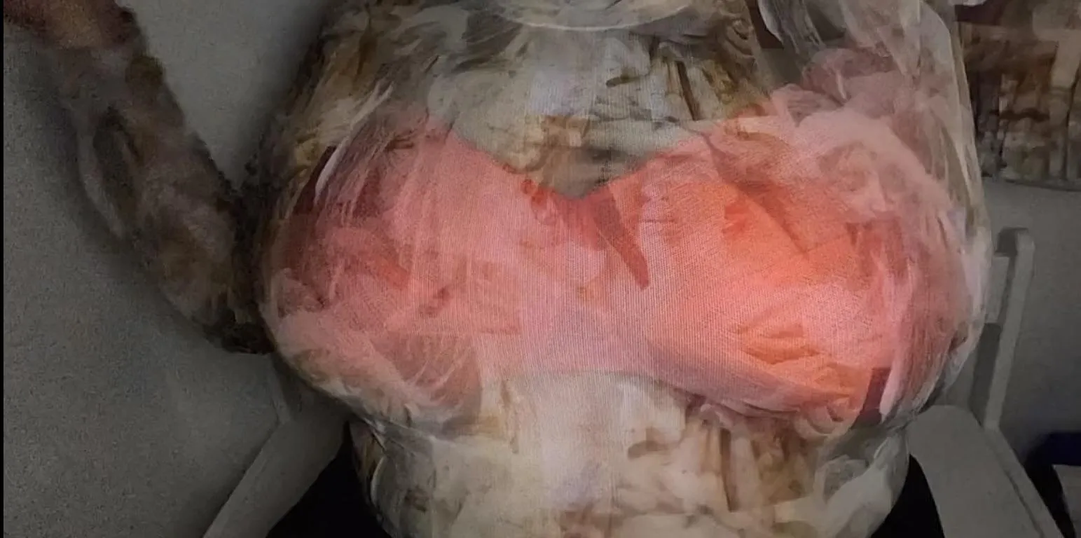 what size do you think?